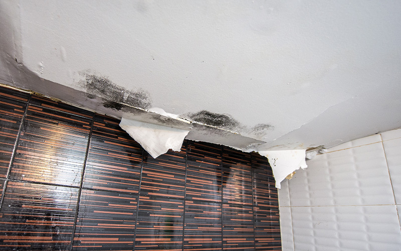 water-mold-damage-ceiling-1