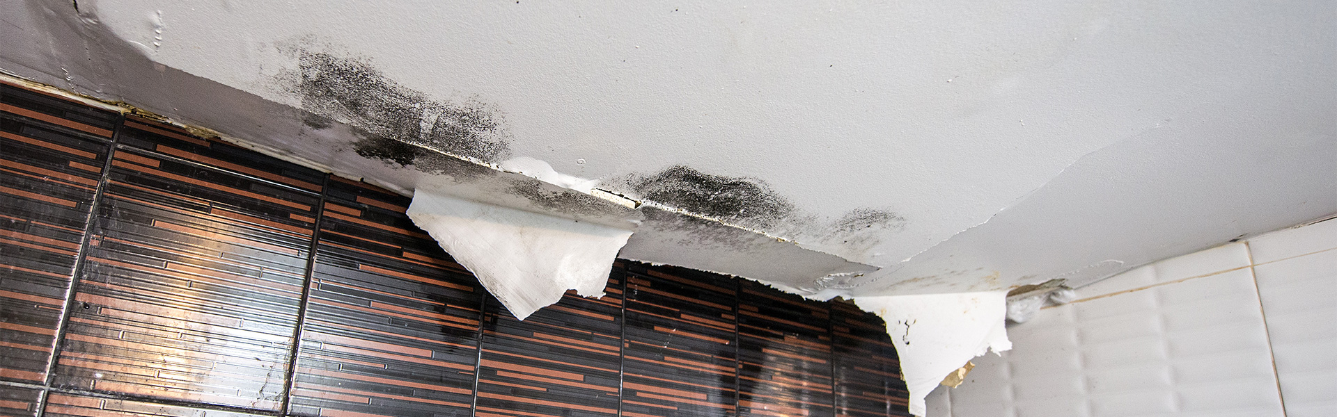 Water Mold Damage Ceiling