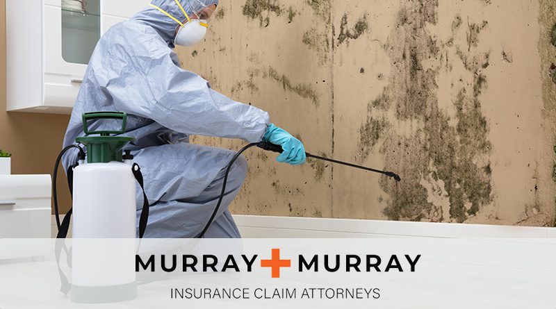 Mold Coverage in Homeowners’ Insurance